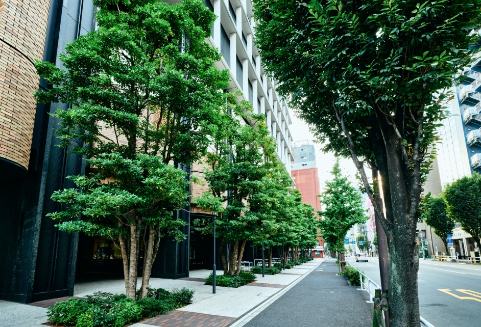 イーストエリアのイメージ写真