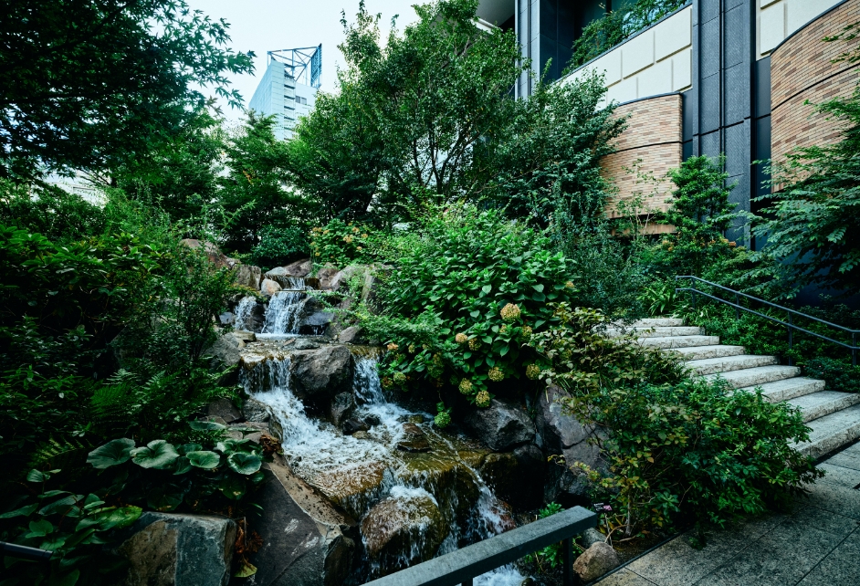 ノーズエリアリアのイメージ写真