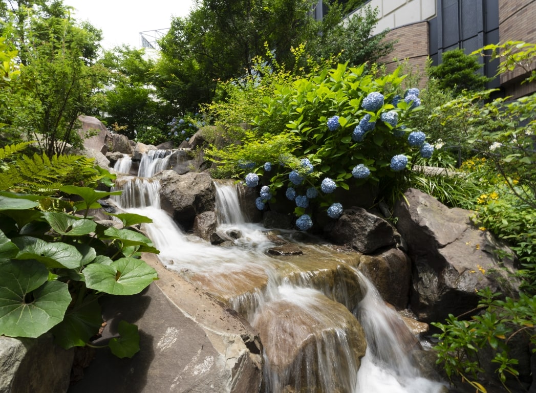 初夏の景色の写真3