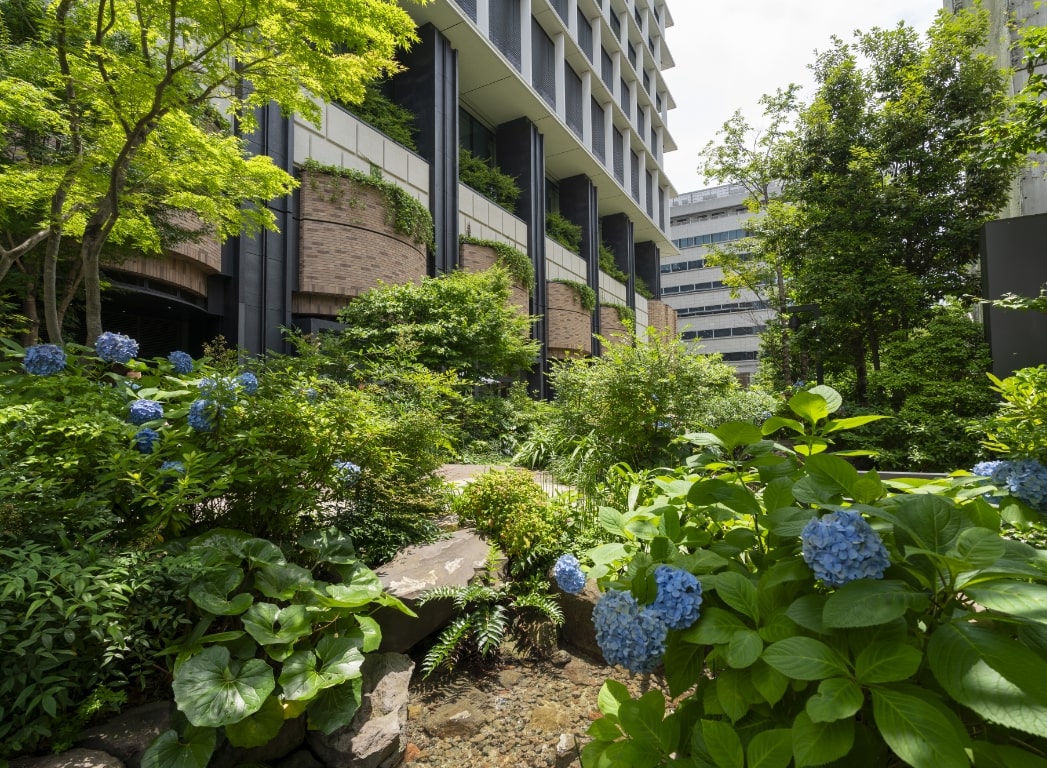 初夏の景色の写真4