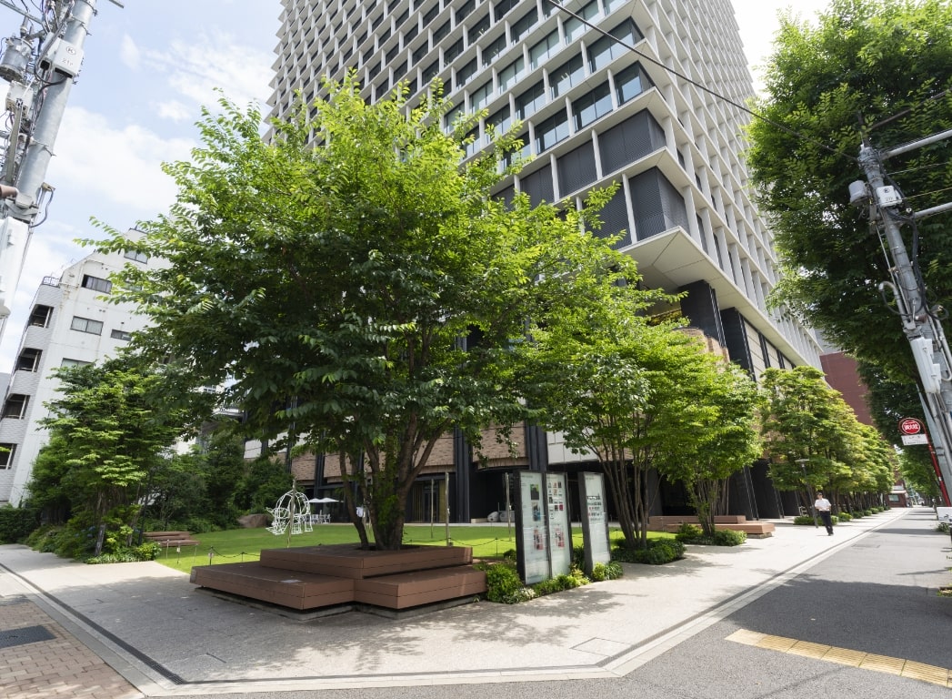 初夏の景色の写真5