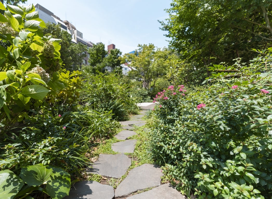 初夏の景色の写真6