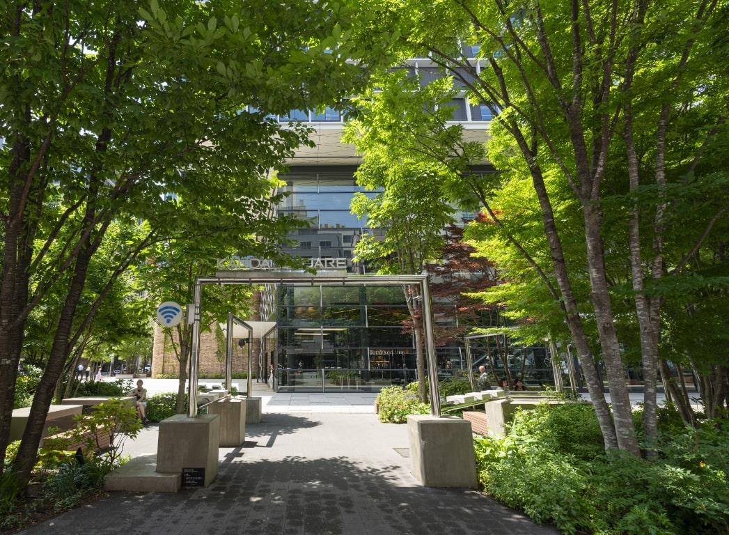 初夏の景色の写真9