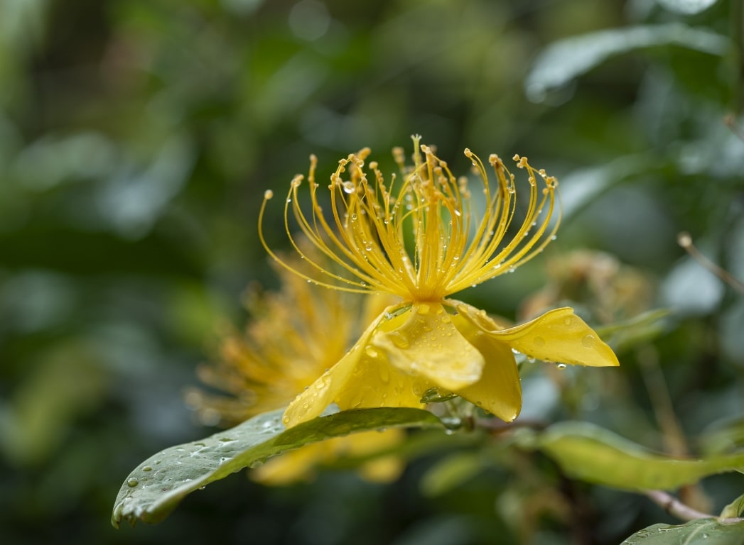 梅雨の景色の写真2