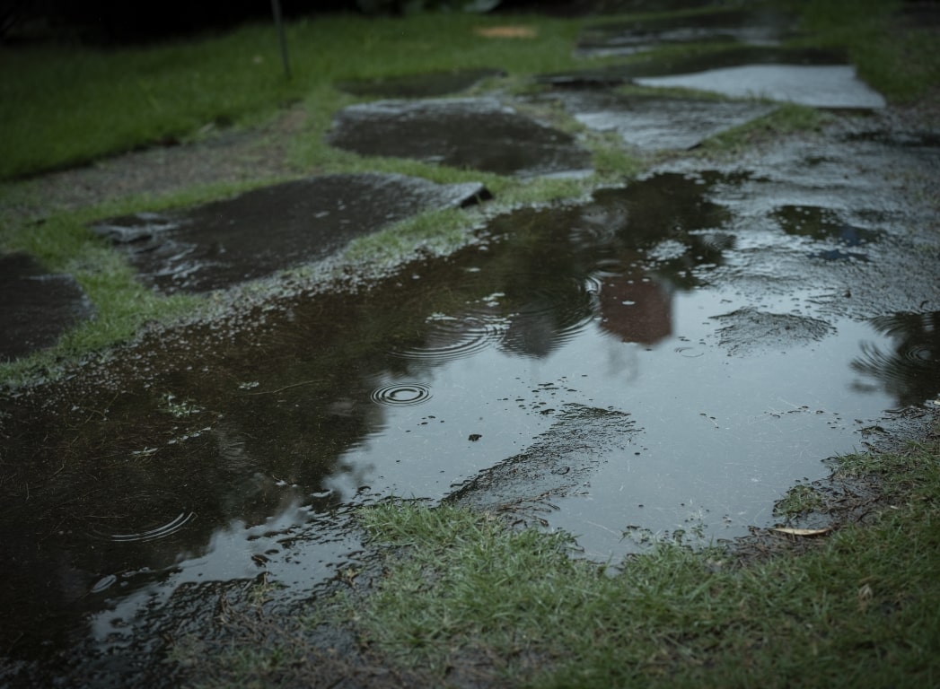 梅雨の景色の写真8
