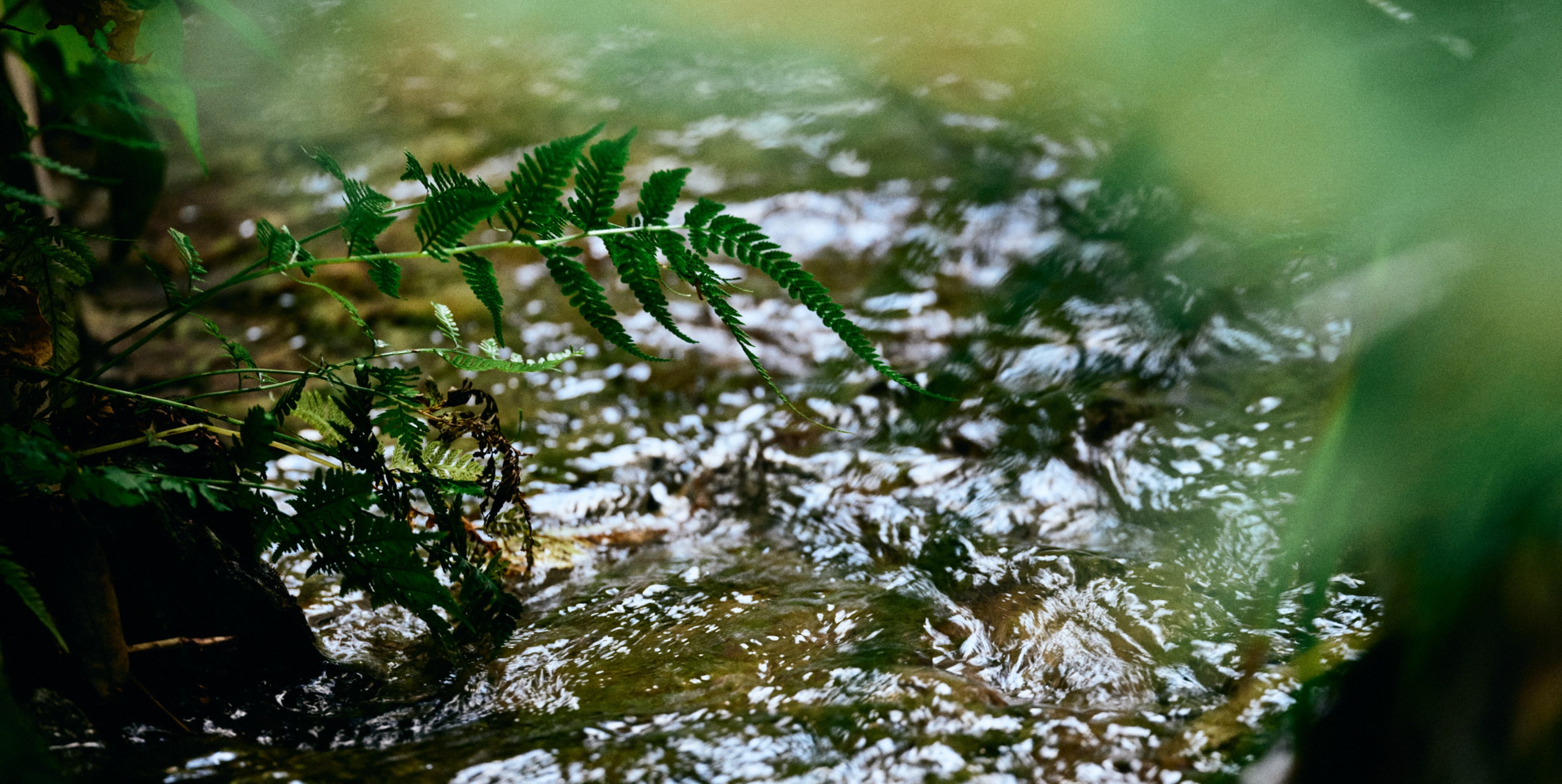 メインビジュアル2枚目