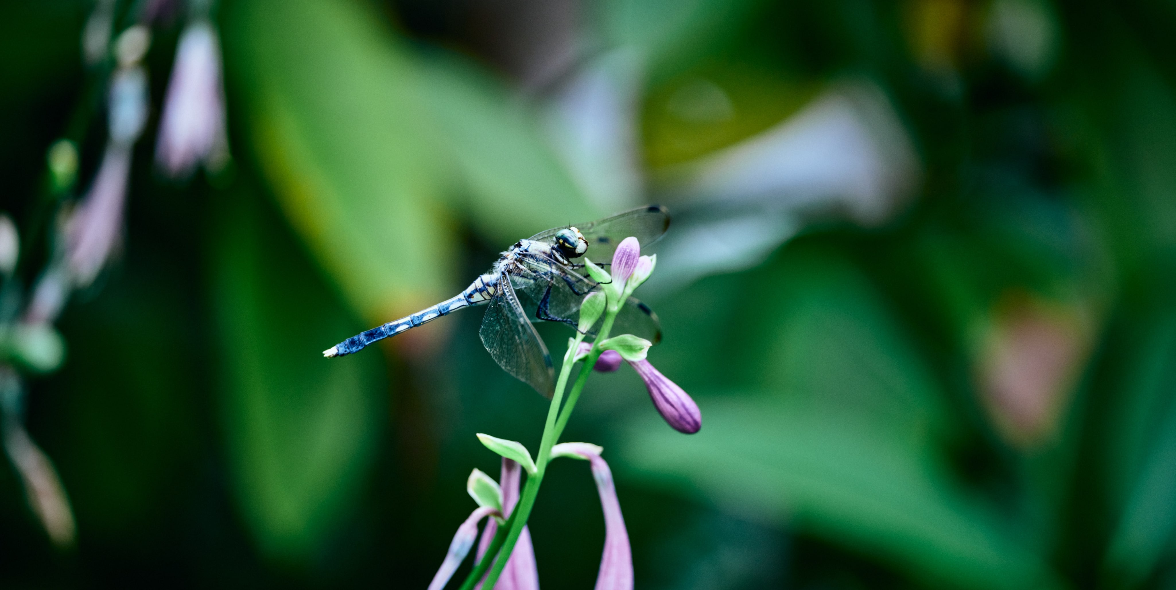メインビジュアル3枚目