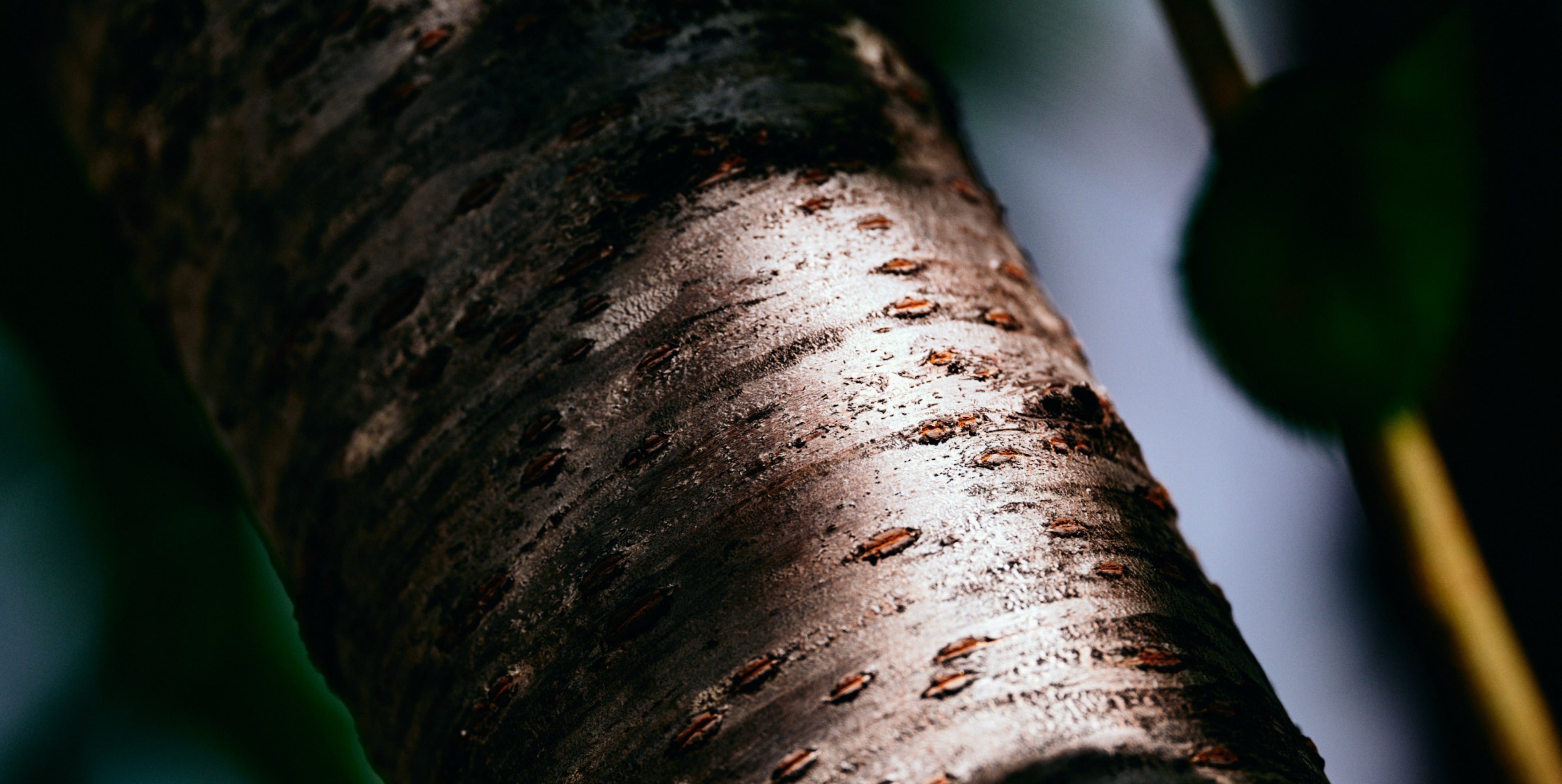 メインビジュアル34枚目