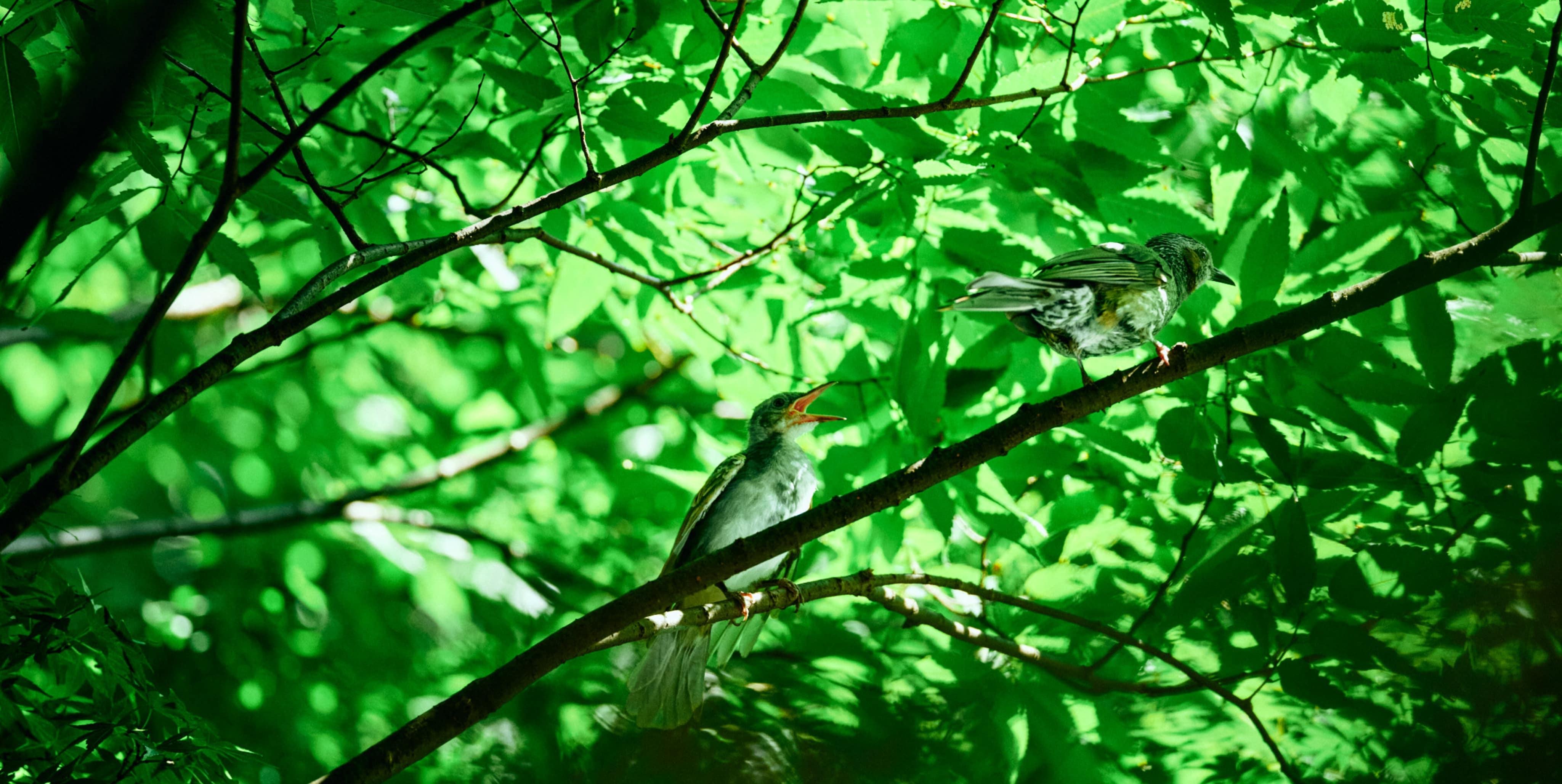 メインビジュアル５枚目